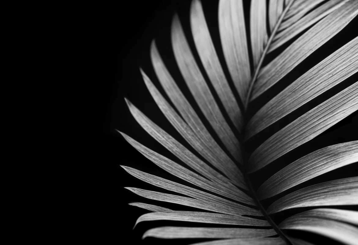Blog Preview Image